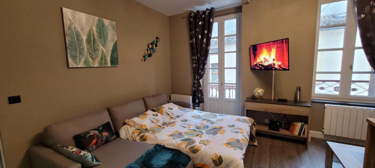 Appartement Le Moulin Vert Carcassonne Exterior foto