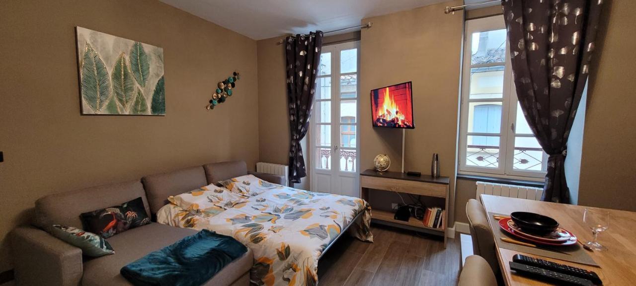 Appartement Le Moulin Vert Carcassonne Exterior foto